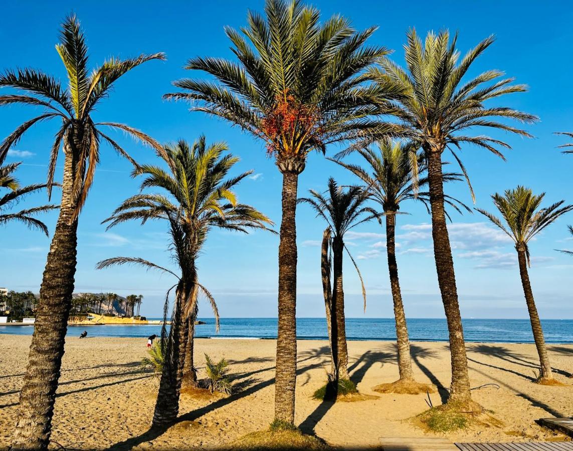 Mimar Javea Luaran gambar