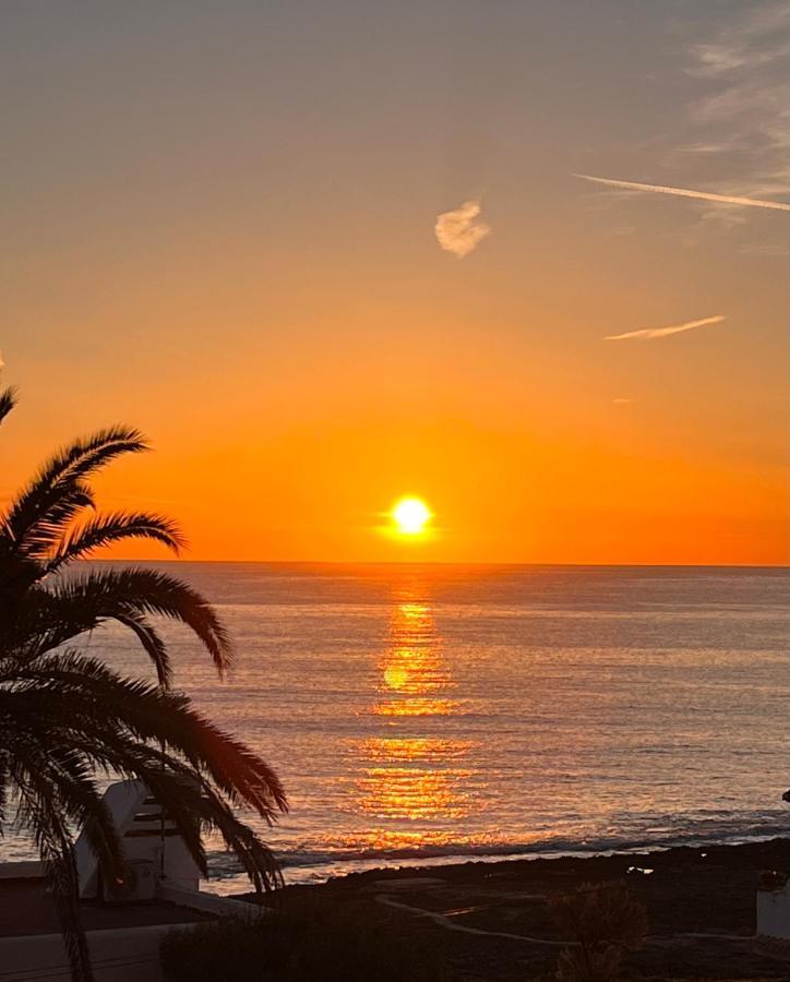 Mimar Javea Luaran gambar